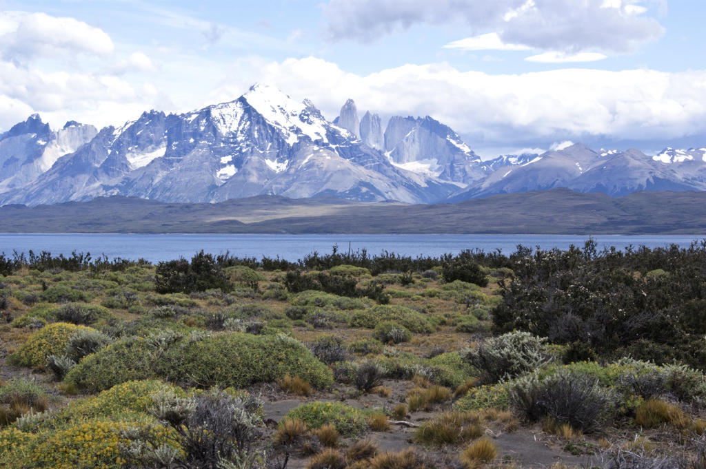 Tierra Patagonia Hotel Torres del Paine National Park Buitenkant foto